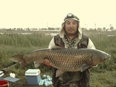 balta topraichioi
